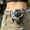 Green, variant on Portable Waist Clip Fan, USB Rechargeable 5-Speed Mini Fan with 360掳 Airflow, Silent & Lightweight Personal Cooling Fan for Outdoor, Hiking, Travel(2.75*3.14 in)Beige