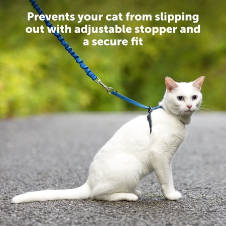 PetSafe Come With Me Kitty™ Harness and Bungee Leash, Large, Royal - Image 1