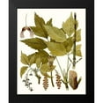 thumbnail image 2 of Unknown 20x24 Black Modern Framed Museum Art Print Titled - Maple Leaves I, 2 of 5