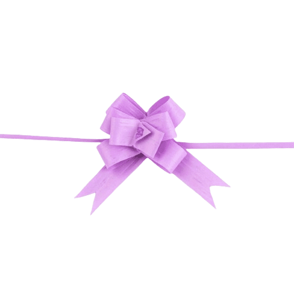 Moño Decoración Liso Sencillo 50 Pzas Orquidea Mini Janel Celosa