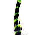 thumbnail image 1 of Plumas Schlappen Barradas para Montaje de Moscas Montana Fly Company, 1 of 1