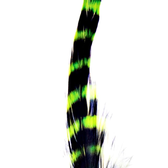 Plumas Schlappen Barradas para Montaje de Moscas Montana Fly Company