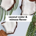 thumbnail image 2 of Champú y acondicionador Love Beauty and Planet Volumen 400 ml, 2 of 9