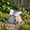 # D, variant on Butterfly Garden Decor, Solar Garden Statues, Soft Glowing Nighttime Resin Stone Figurine with Authentic Moss Detailing for Patio Walkway and Yard, Ideal Gifts for Garden Lovers (# D)