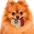 thumbnail image 3 of Juguete Para Perros Importadora La Merced Guantes Navideños 4 pz Vinil De Alta Resistencia, 3 of 6