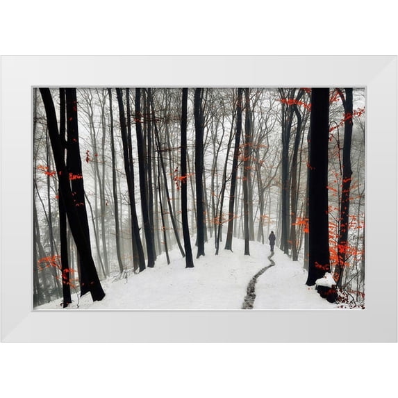 Krivec, Samanta 32x23 White Modern Wood Framed Museum Art Print Titled - Through autumn and winter