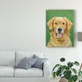 thumbnail image 3 of Trademark Fine Art 'Dog Portrait Golden' Canvas Art by Jill Sands, 3 of 4