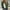Army Green, variant on WXLWZYWL Women's Plus Size Bomber Jackets Lightweight Zip Up Casual Spring Fall Jacket Windbreaker with Pockets