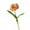 Coffee, variant on Simulation Tulip Flower Decoration, 1Pc Faux Silk Flower Plant Ornament Artificial Flower Arrangement Art DIY Wedding Flowers Real Touch Silk Tulips