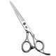 thumbnail image 1 of Tijeras de peluquería de 15 cm (6 pulgadas) de acero inoxidable con cuchillas de precisión y mango ergonómico para salón de belleza., 1 of 5