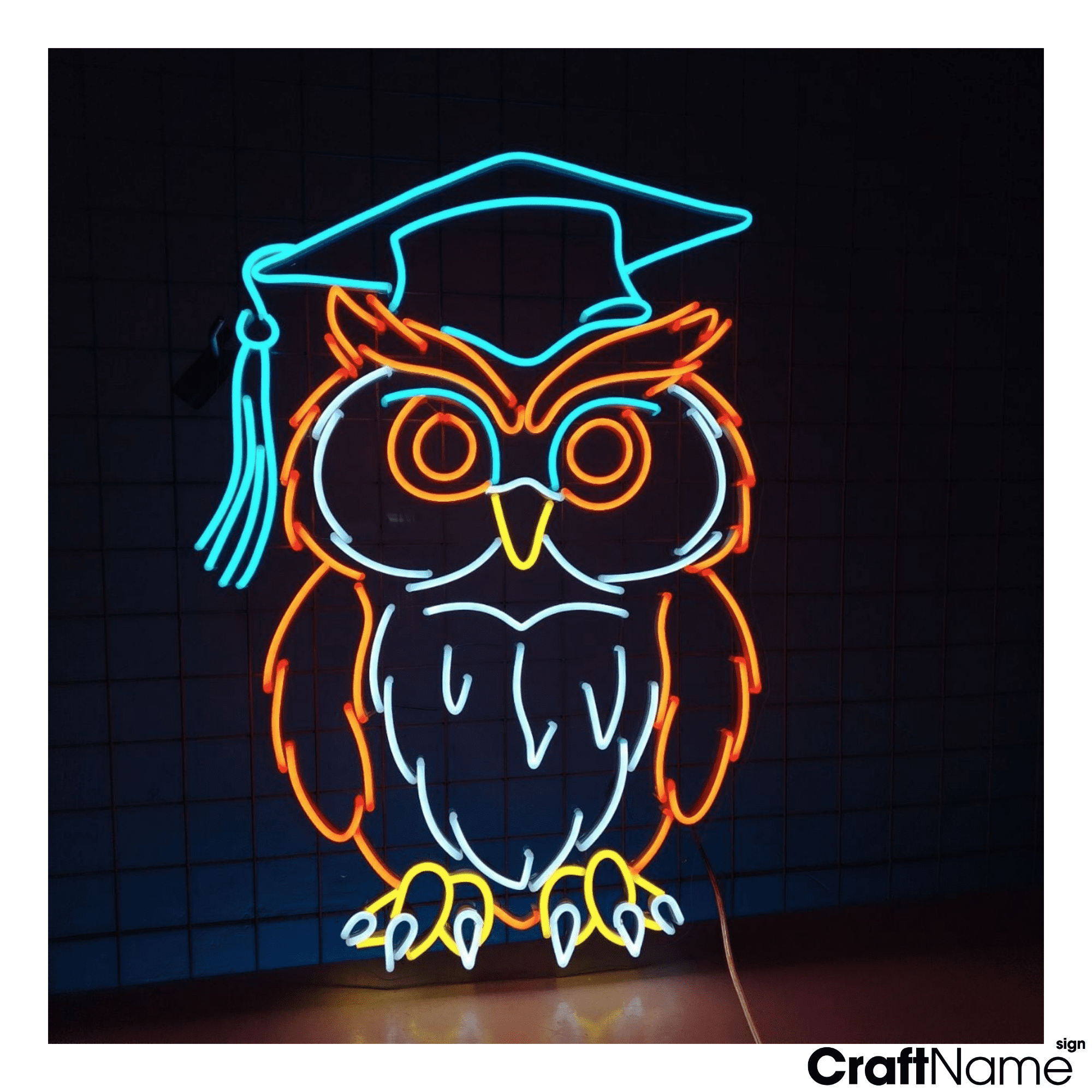 Craftnamesign Owl Graduation Cap Neon Light Wall Sign For Classroom Decoration