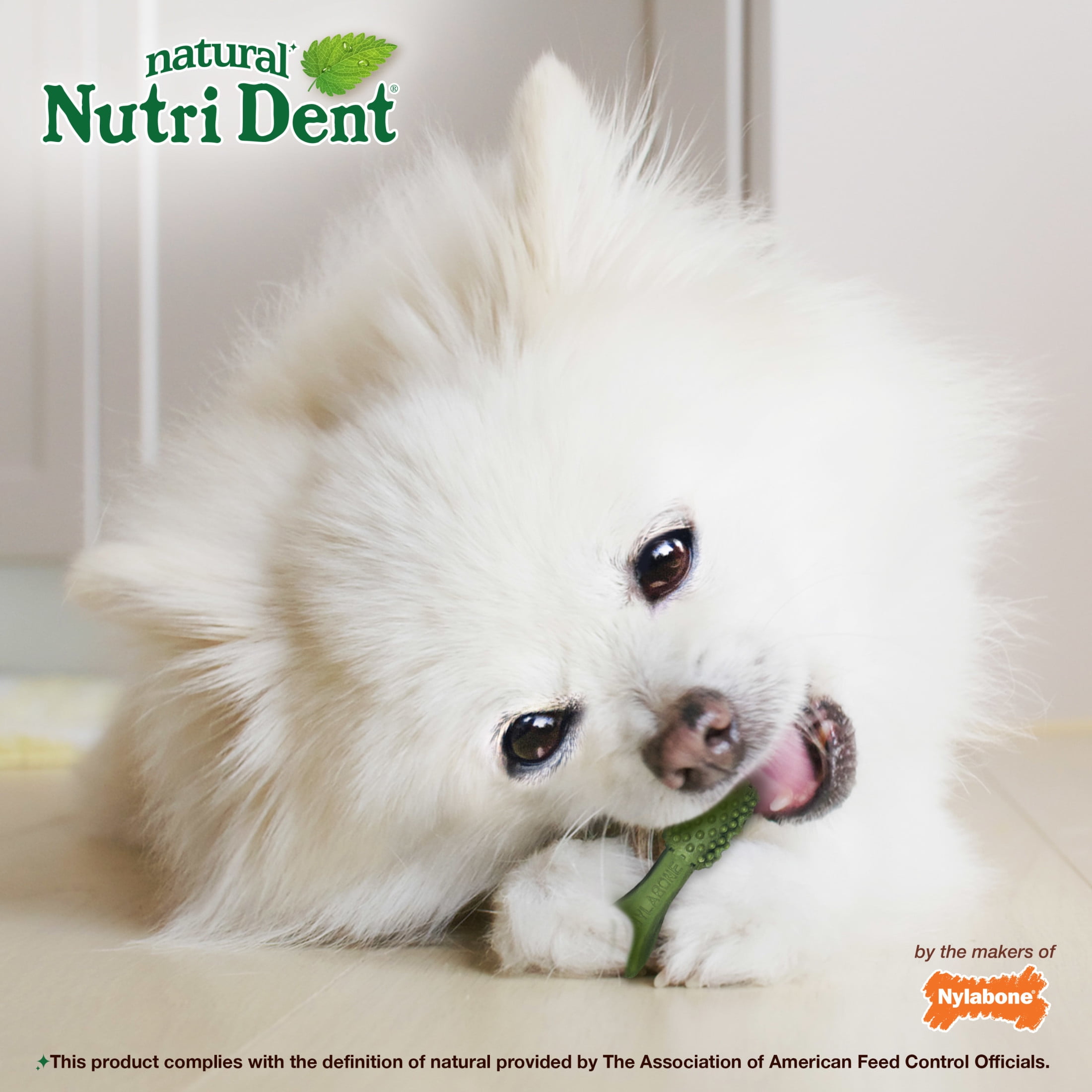 Nylabone Nutri Dent Natural Dental Chews for Dogs, Limited Ingredient Dog Treats, Teeth Cleaning Dental Sticks for Dogs, Fresh Breath Flavor, For X-Small Dogs (160 Count)