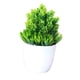 thumbnail image 5 of Conjunto De 2 Plantas De Realistas De Simulación Jardín Realistas Para Oficina Gloria Plantas de bonsai en maceta, 5 of 9