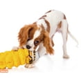thumbnail image 5 of Hartz Double Play Pal Toss and Retrieve Dog Squeaky Toy, Multi-Color, 5 of 7