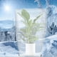 thumbnail image 4 of Cubierta para plantas, paño contra heladas, cubierta protectora cálida para plantas, bolsa, cubierta para árboles para s 60cmx80cm Cola Manta helada, 4 of 6