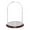 Dark Mahogany Veneer Base, variant on Plymor 8 inch x 12 inch Glass Display Dome Cloche (Dark Wood Base)