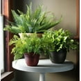 thumbnail image 3 of HC Companies Sierra 16 Inch Round Flower Garden Planter Pot, Rustic Redstone, 3 of 6