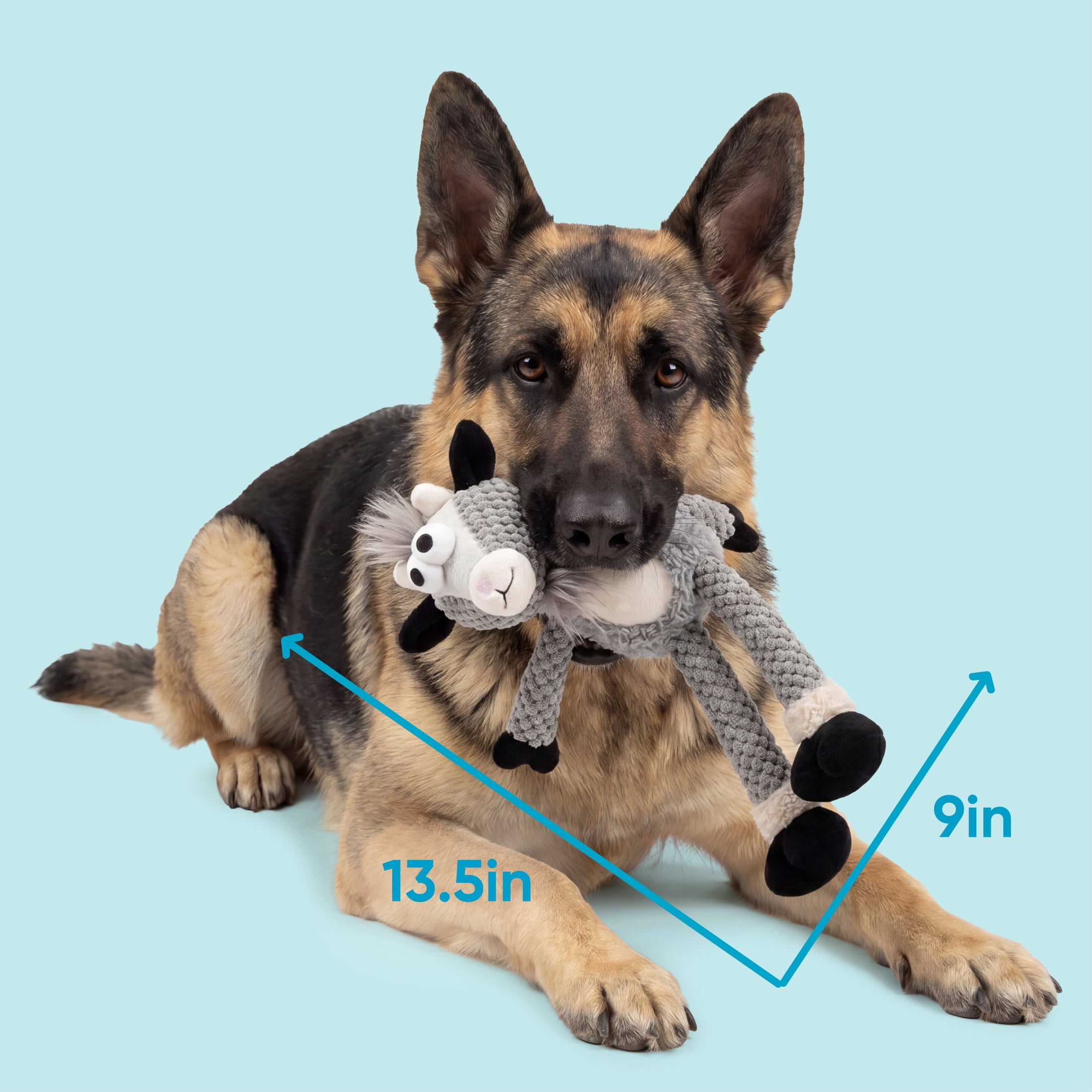 goDog Farm Friends Skinny Derby Donkey Squeaky Dog Toy, Plush with Chew Guard Technology, Medium, 1 Count