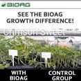 thumbnail image 4 of BioAg CytoPlus Organic Humic Acid Plus Seaweed Extract, Essential Micronutrients Dry Granular Soil Amendment Increases Yield, Nutrient Uptake, Growth for All Plants S B Co Cu Fe Mn Mo Zn 5 lb, 4 of 6