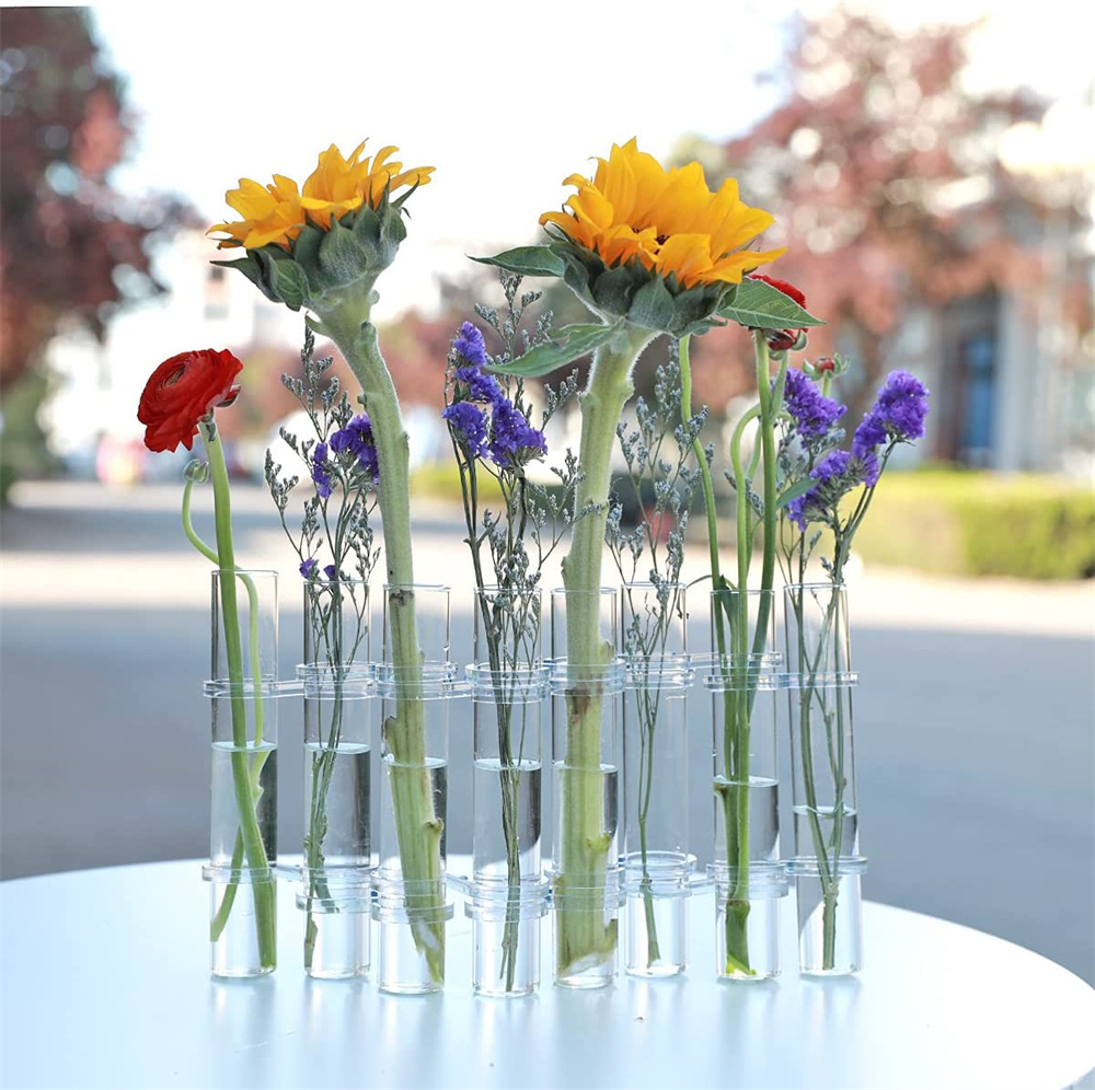Nogis Hinged Flower Vase,Test Tube Vase Decorative Glass Flower Vase,Hydroponic Plant Flower Arrangement Decoration with Brushes (Large, 8 Hole), Size