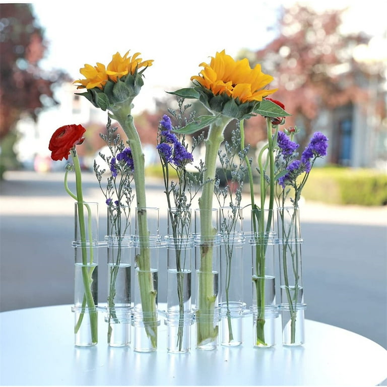 Nogis Hinged Flower Vase,Test Tube Vase Decorative Glass Flower Vase,Hydroponic Plant Flower Arrangement Decoration with Brushes (Large, 8 Hole), Size