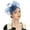 Navy, variant on JJHGVB fascinators Accessories Hat Headwear ladies hats for tea party Veil Hair Clip Wedding Mesh Hat Headband Hair Clips Hat Church Hat Mesh Floral Clip Navy One Size