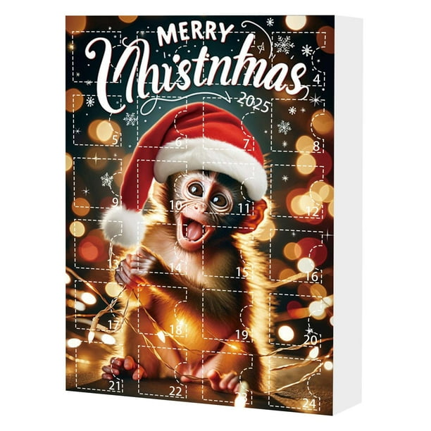 Decoraciones de Navidad para el Hogar 2025 Calendario de Cuenta Atrás de Navidad Linda Caja de Regalo Decorativa Del Festival de Acrílico, Adecuada para la Familia Y los Amigos