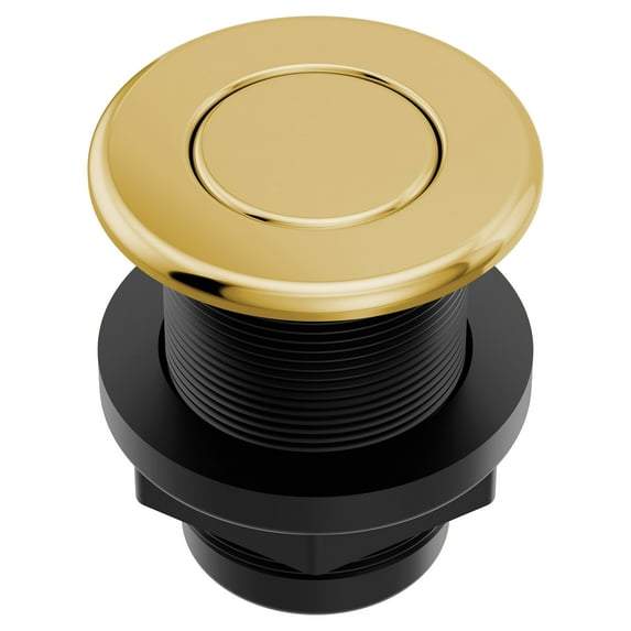 Moen As-4201 Disposal Air Switch Button Only - Brass