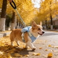thumbnail image 4 of Dog Harness Small Sized and Leash Set, Soft Light, Breathable Padding & Anti-Escape Design, Adjustable Dogs Training & Walking, Blue, XL, 4 of 6