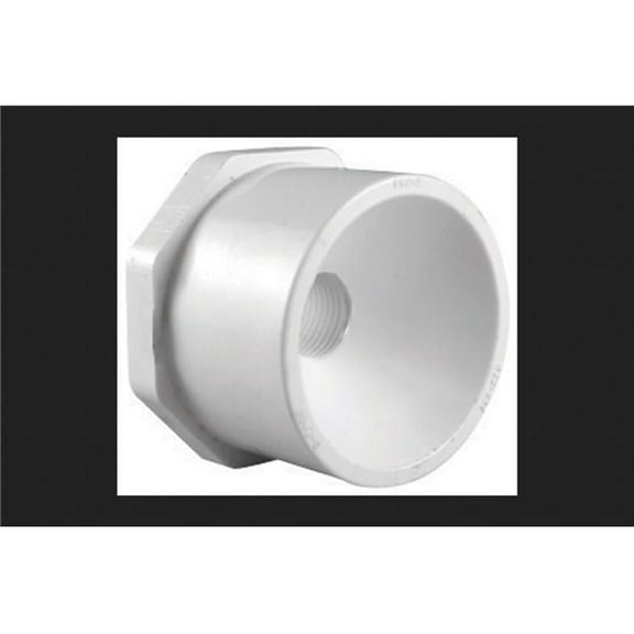 3 x 2.5 in. PVC Pipe Reducing Bushing, Schedule 40 - White