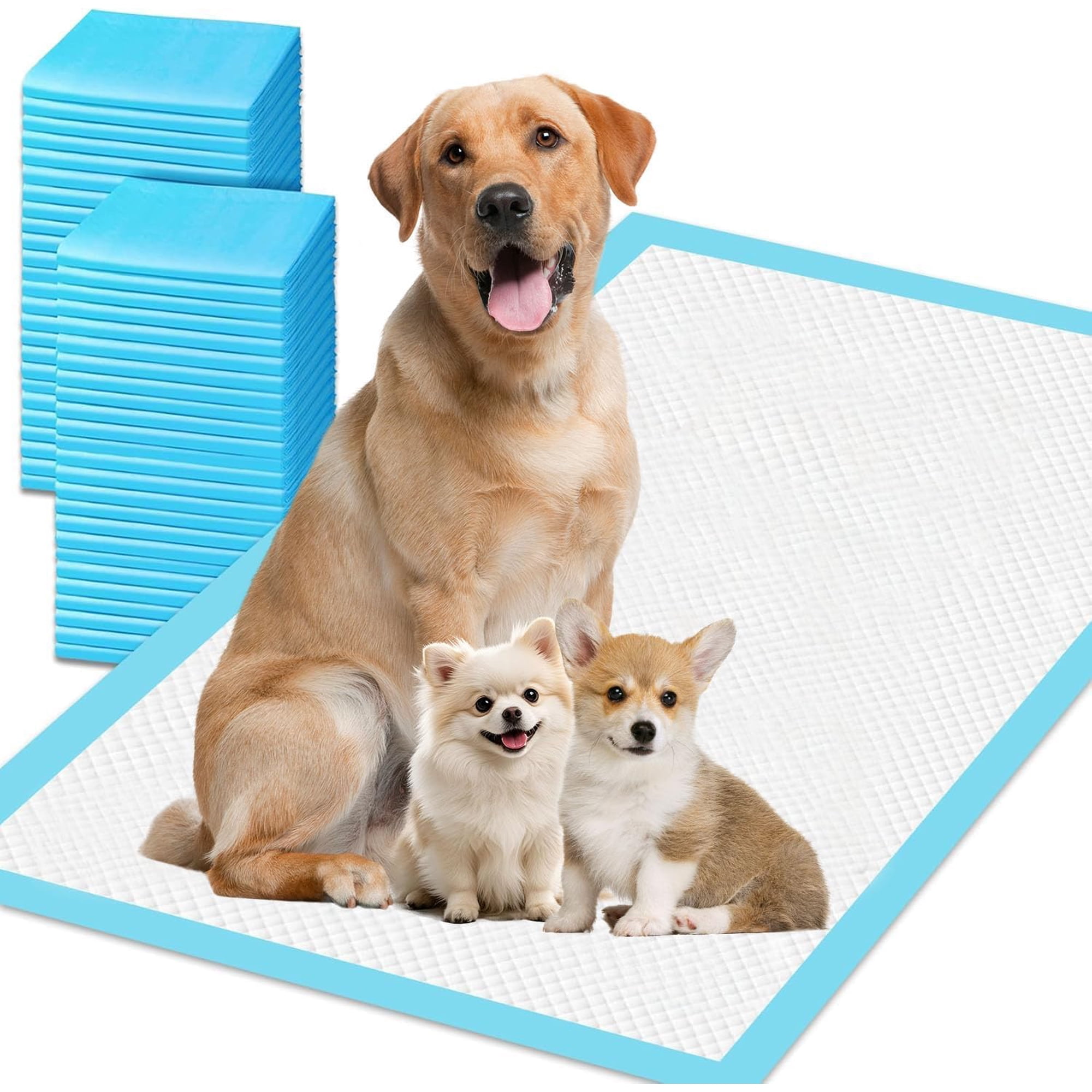 XXXXL Puppy Pee Pads for Dogs 31"x55" 40 Count, Extra Large Dog Pee Pads, Leak-Proof & Super Absorbent Dog Pee Pads, Thicken Disposable Potty Pads Puppy Training Pads for Cats Rabbits