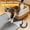 Light Grey, variant on Silicone Cat Litter Trapping Mat, 34''x22'' Large Cat Litter Mat, Easy to Clean & Soft on Kitty Paws, Waterproof Kitty Litter Pads for Indoor Cats, Black