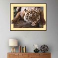thumbnail image 4 of Animal Resina 5D DIY Diamante Pintura Bordado Punto de Cruz Imagen Decoración de la pared del hogar - L2010 Eigraketly JJ13343-07, 4 of 6