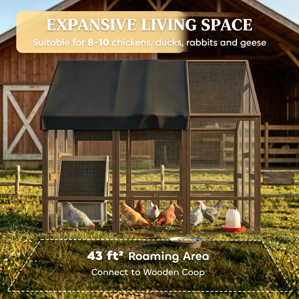 Chicken Coop