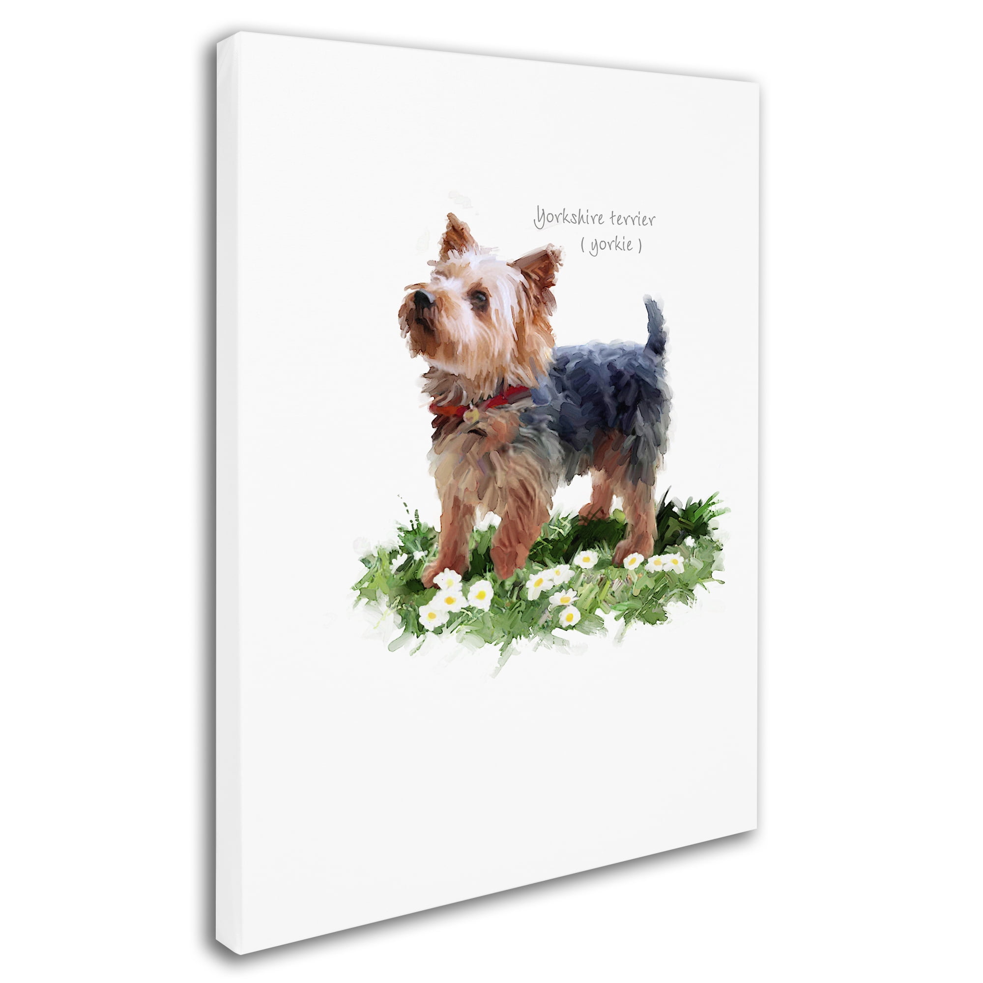Trademark Fine Art 'Yorkshire Terrier' Canvas Art by The Macneil Studio