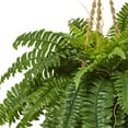thumbnail image 2 of Nearly Natural 6930 Boston Fern Hanging Basket, 2 of 3