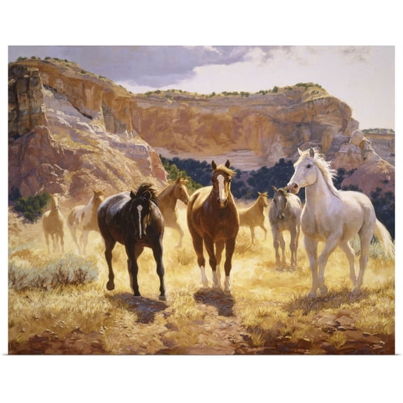 Great BIG Canvas | Rolled Claire Goldrick Poster Print entitled Canyon Trails