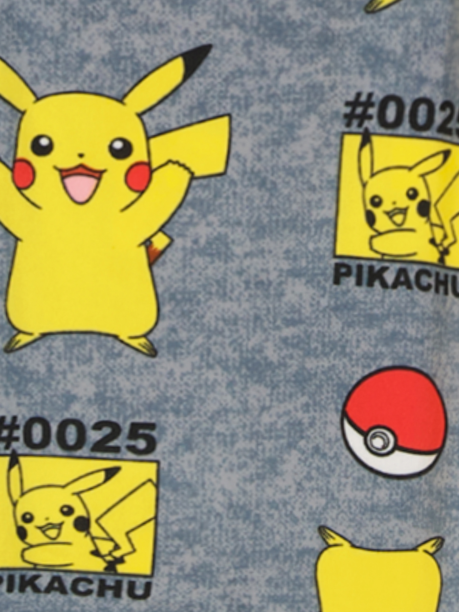 Pokemon Boys Long Sleeve Top and Pants Pajama Set, 2-Piece, Sizes 4-12