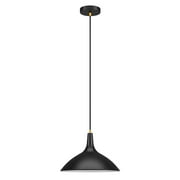 Hudson & Canal PD0758 Barton Matte Black Metal Pendant with Brass Accents