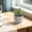 Gray-6C, variant on MMJ Artificial Potted Plants Faux Plants Small Plastic White Planter Tabletop Desk Home Office Decor 2.76x2.68x2.68in
