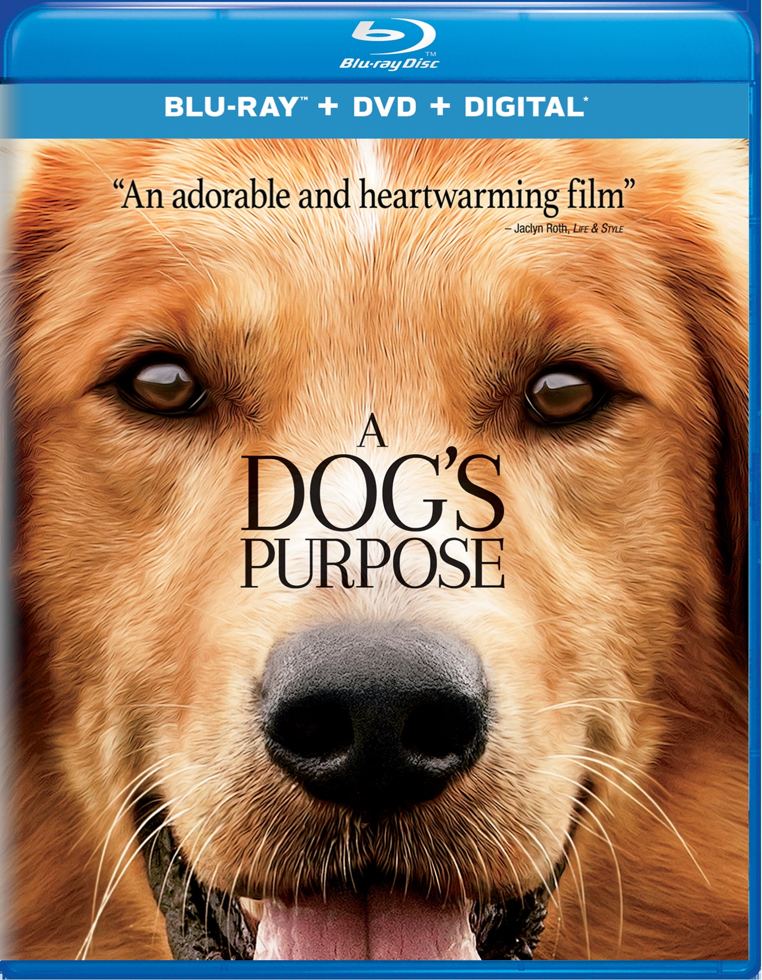 Amazon.com: Jobz 4 Dogz: Police K-9 [DVD] : R. Keith Adams