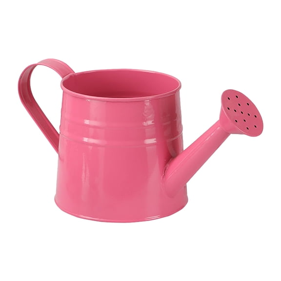 Loetky 1L Galvanized Metal Watering Can for Outdoor Garden Plants, Pink Large Capacity Watering Pot with Long Spout & Ergonomic Handle