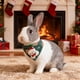thumbnail image 5 of Adornos navideños, regalos navideños, bufanda navideña para mascotas, collar, lindos accesorios navideños para perros y gatos, collar de tela para mascotas, 5 of 6