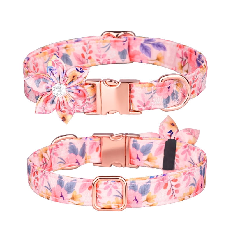 Girl dog collar with flower best sale