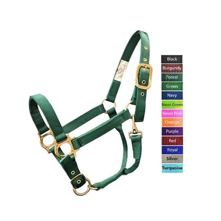 Valhoma 3360-GN-M 800-1100 lbs Adjustable BACS Halter, Green