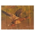 thumbnail image 2 of Day Dream MM2216 22 x 16 in. Majestic Mallard Inside & Outside wood Wall Art, 2 of 7