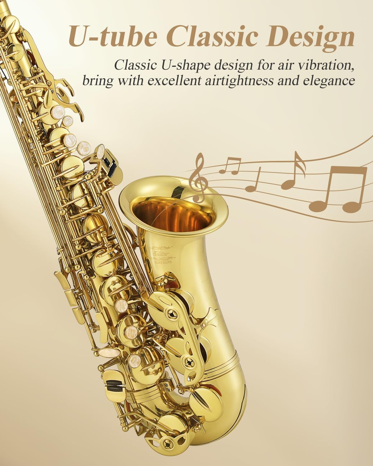 Eastar Professional Alto Saxophone E Flat Sax Full Kit Gold Eb