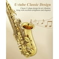 Yibuy 2-Pack Alto Sax Mouthpiece #6 - E Flat Silver Mouthpiece With Neck Strap For Beginners