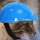 thumbnail image 4 of Sombrero para mascotas de plástico ABS de 4 pulgadas - Azul Ormromra 220540-3, 4 of 9