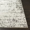 thumbnail image 3 of Surya Bahar Polypropylene And Polyester 2' X 3' Rectangle Area Rugs BHR2322-23, 3 of 7